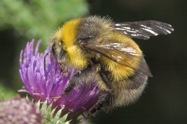 Similar image 720606