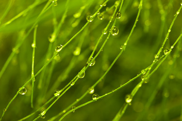 Similar image 720635