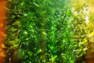 Similar image 720641