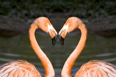 Similar image 720643