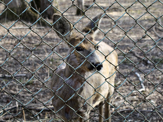 Similar image 720672