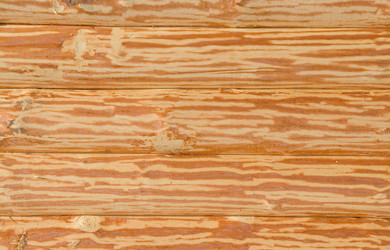 Similar image 720679