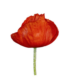 Similar image 720686