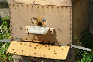 Similar image 720693