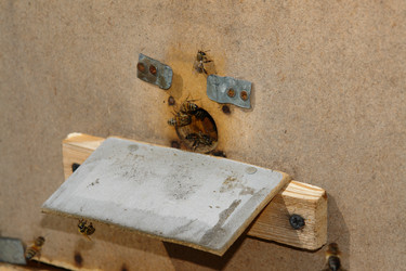 Similar image 720700