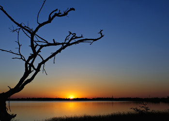 Similar image 720773