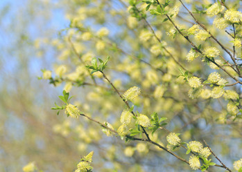 Similar image 720794