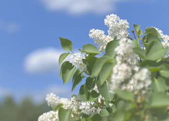 Similar image 720798