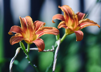 Similar image 720801