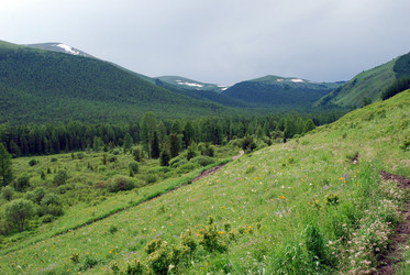 Similar image 720825