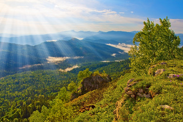 Similar image 720832