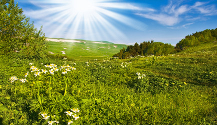 Similar image 720834