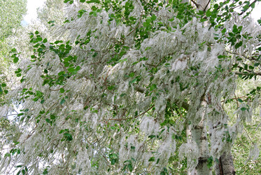 Similar image 720854