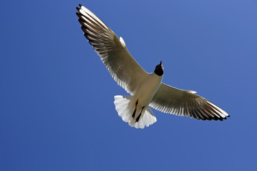 Similar image 720907