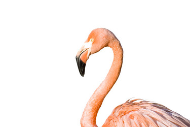 Similar image 720908