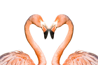 Similar image 720911