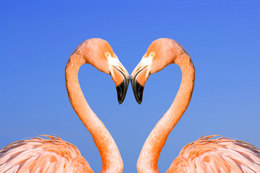 Similar image 720914