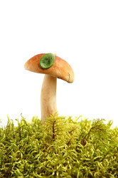 Similar image 720916