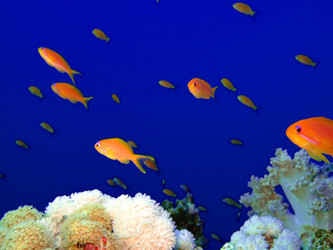 Similar image 720923