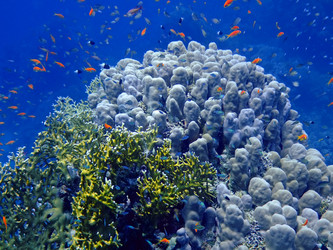 Similar image 720929