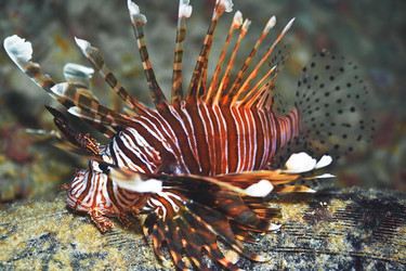 Similar image 720953