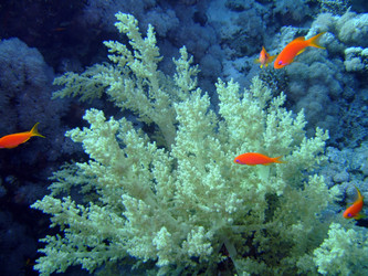 Similar image 720959