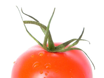 Similar image 720974