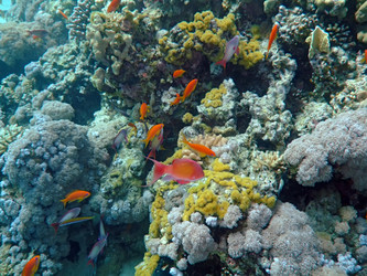 Similar image 720983