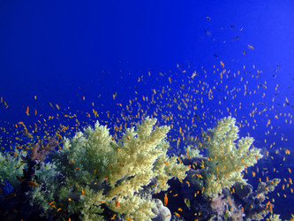 Similar image 720987