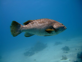 Similar image 721002