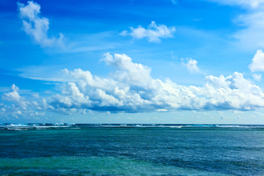 Similar image 721030