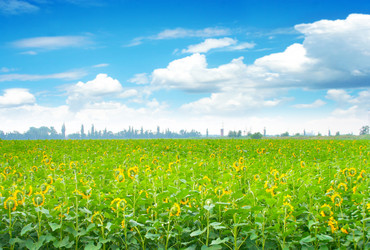 Similar image 721045