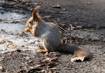 Similar image 721124