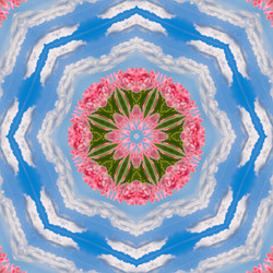 Similar image 721136