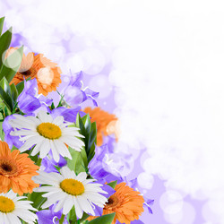 Similar image 721142