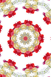 Similar image 721185