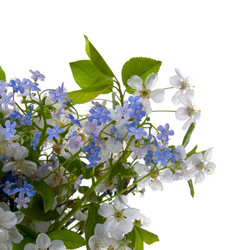 Similar image 721192