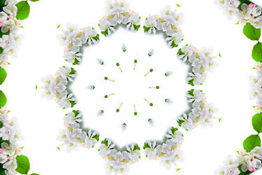 Similar image 721195