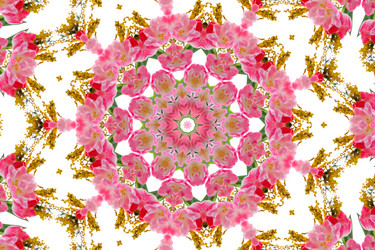 Similar image 721199