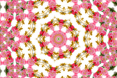 Similar image 721200