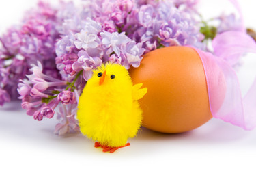 Similar image 721211