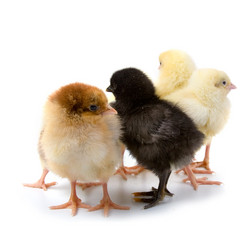 Similar image 721213