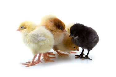 Similar image 721214