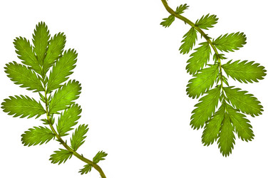 Similar image 721217