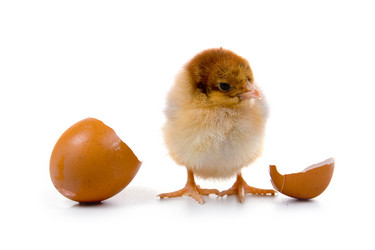 Similar image 721220