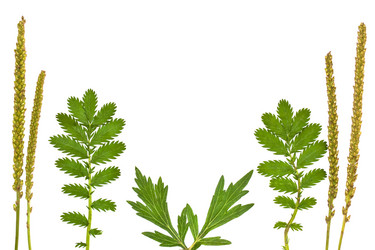 Similar image 721222