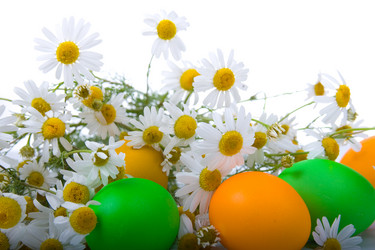 Similar image 721226