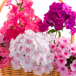 Similar image 721228