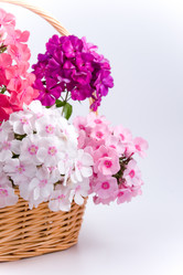 Similar image 721231