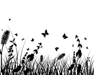 Similar image 721277